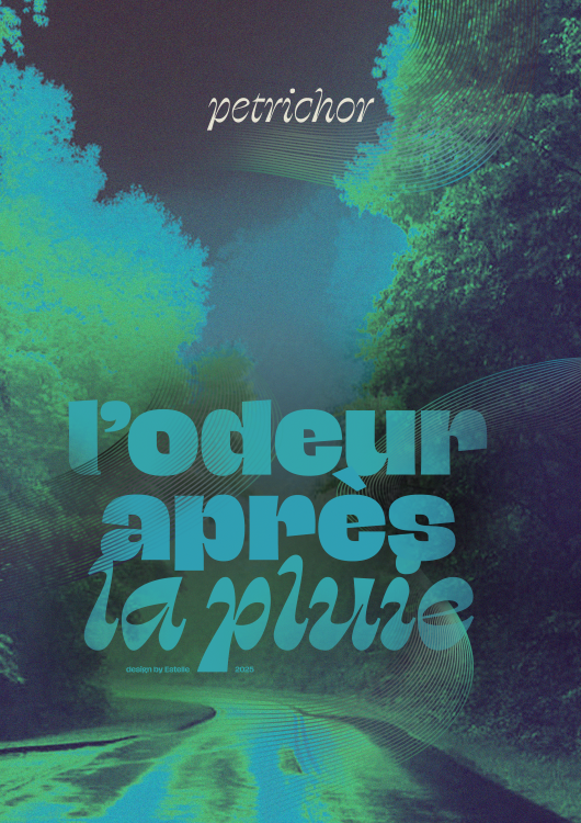 page affiches et boutique