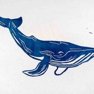 Baleine bleue