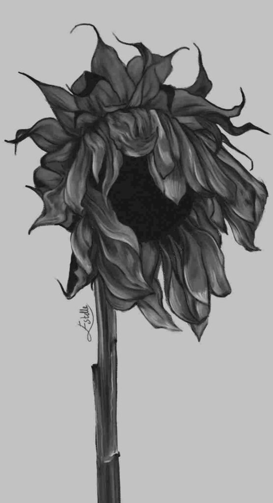 exemple de commandes